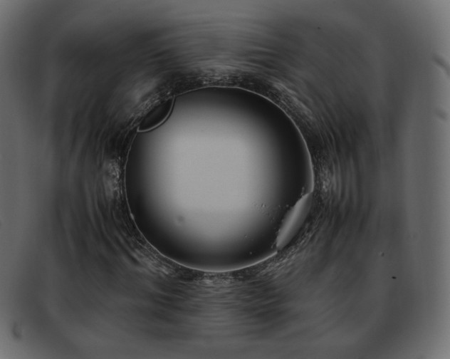 X0000093370964200710111433