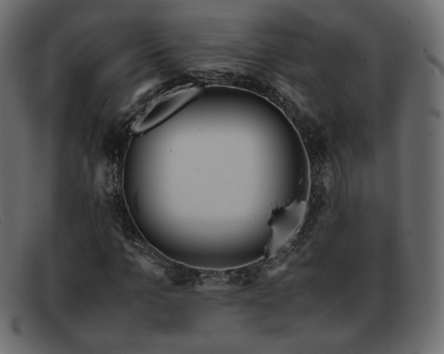 X0000093370965200710111433