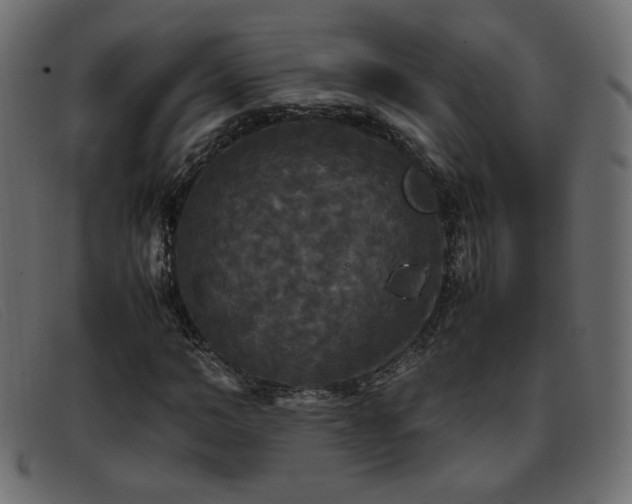 X0000093370966200710111433