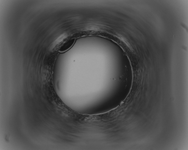 X0000093370967200710111433