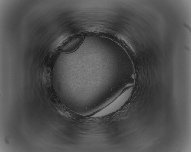 X0000093370968200710111433