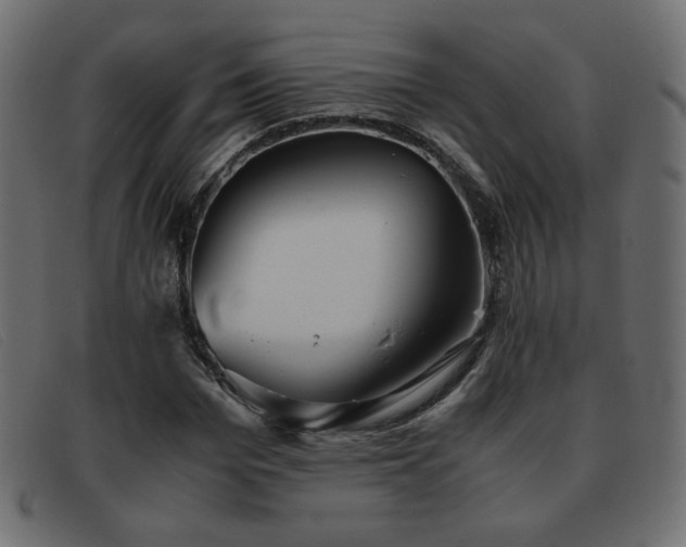 X0000093370969200710111433
