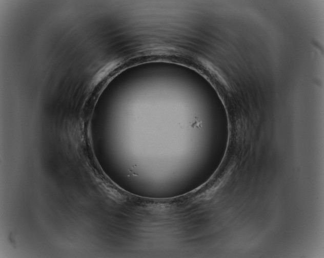 X0000093370970200710111433