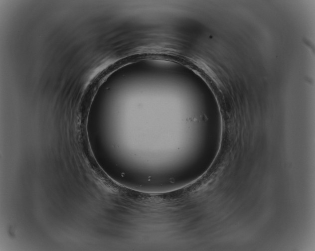 X0000093370971200710111433