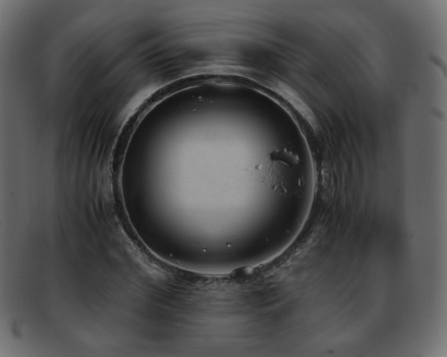 X0000093370972200710111433