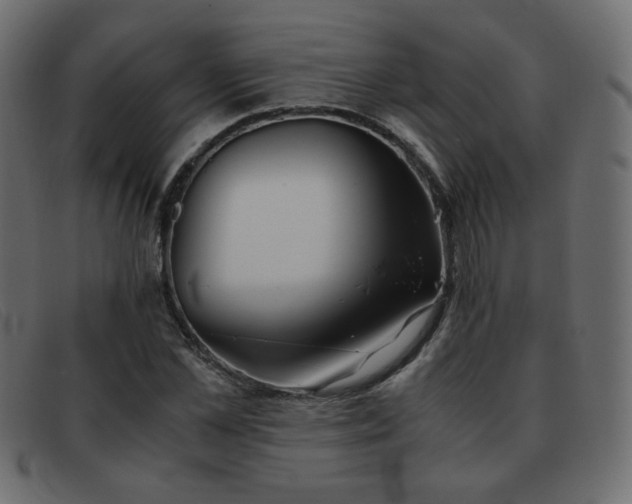 X0000093370973200710111433
