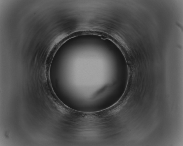 X0000093370974200710111433