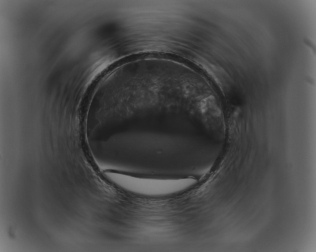 X0000093370975200710111433