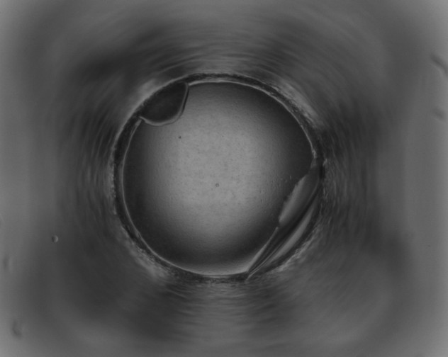 X0000093370976200710111433