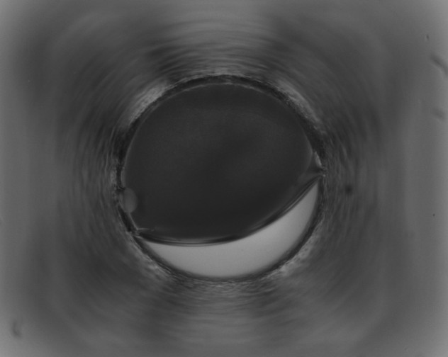 X0000093370977200710111433