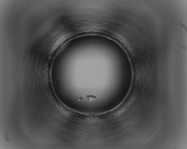 X0000093370978200710111433