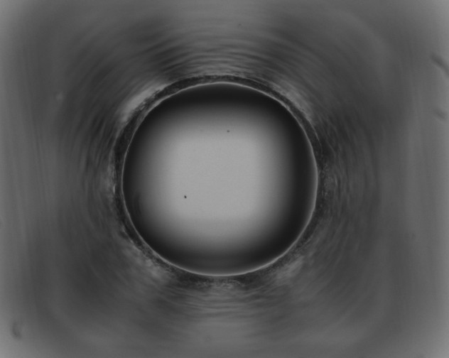 X0000093370979200710111433