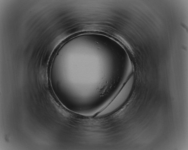 X0000093370980200710111433