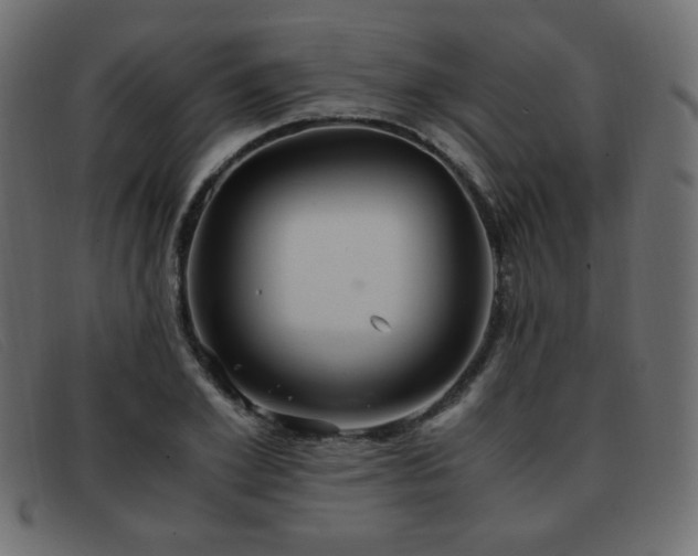 X0000093370981200710111433
