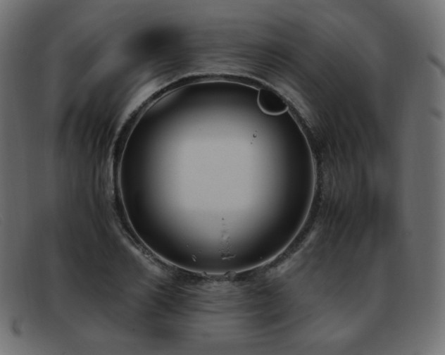 X0000093370982200710111433