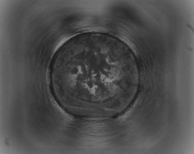 X0000093370983200710111433