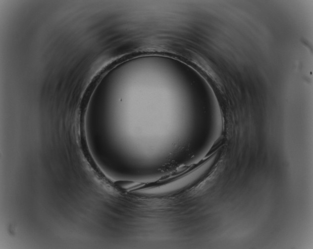 X0000093370984200710111433