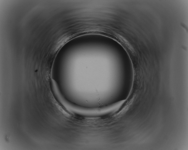 X0000093370985200710111433