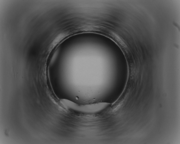 X0000093370986200710111433