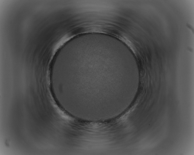 X0000093370987200710111433