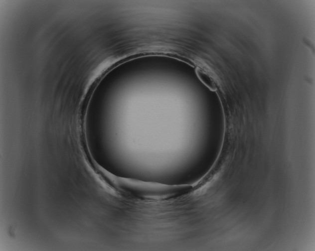 X0000093370989200710111433