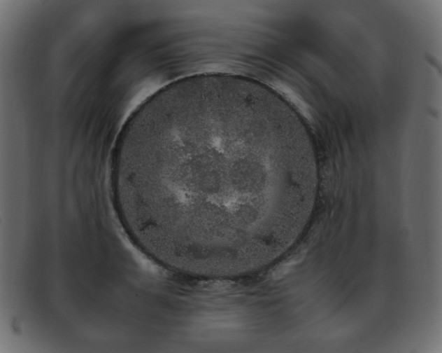 X0000093370991200710111433