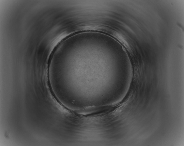 X0000093370992200710111433