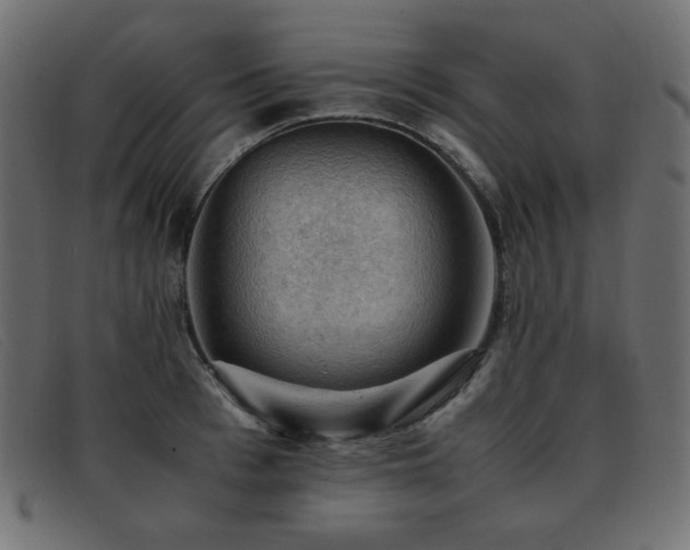 X0000093370993200710111433
