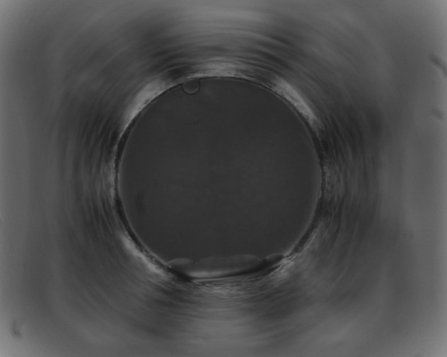 X0000093370994200710111433