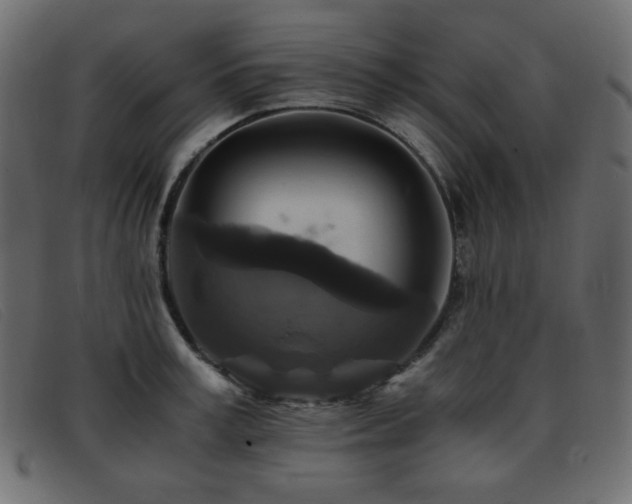 X0000093370995200710111433