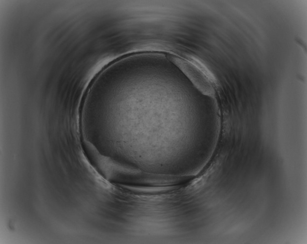 X0000093370996200710111433