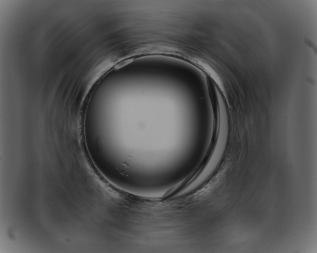 X0000093370997200710111433