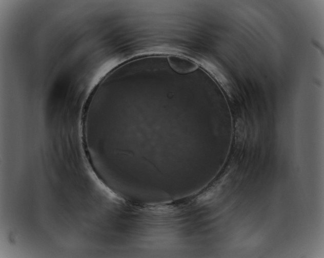 X0000093370998200710111433