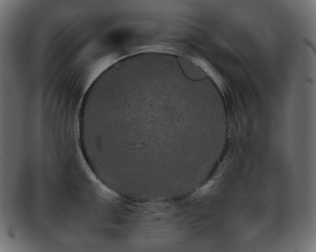X0000093370999200710111433