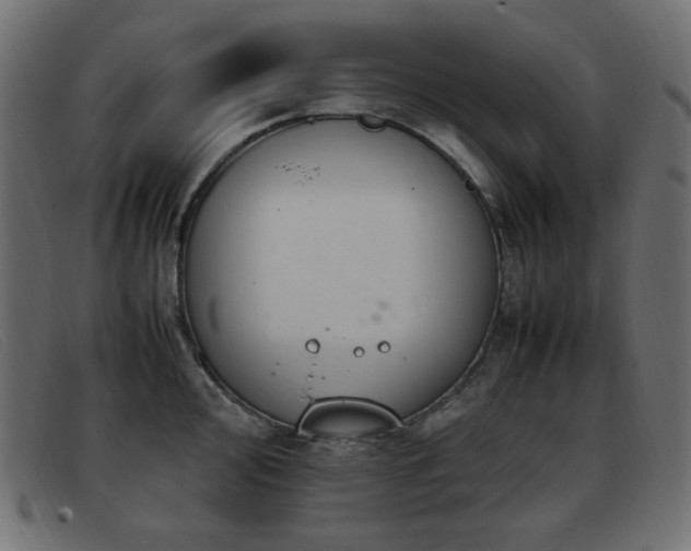 X0000093371000200710111433