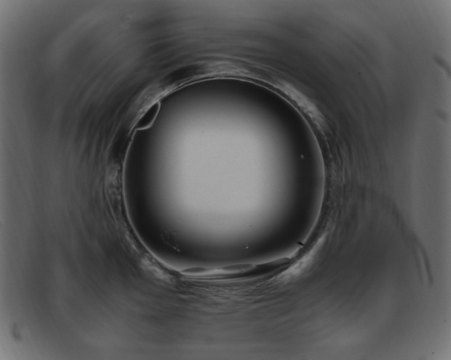 X0000093371001200710111433