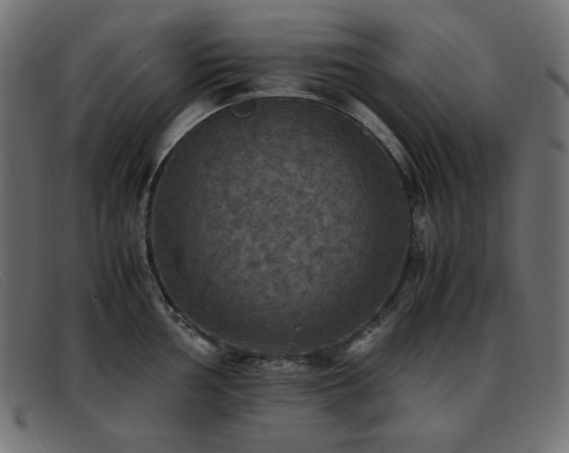 X0000093371002200710111433