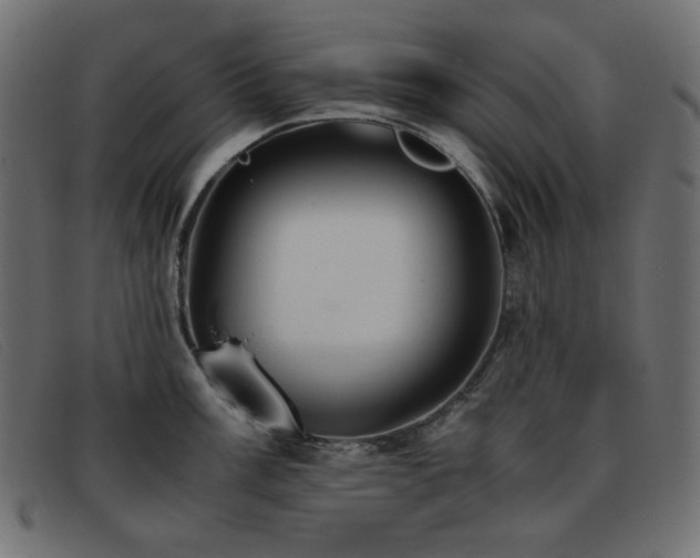 X0000093371003200710111433
