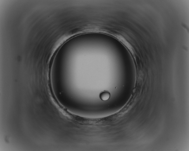 X0000093371005200710111433