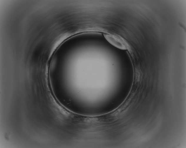 X0000093371006200710111433