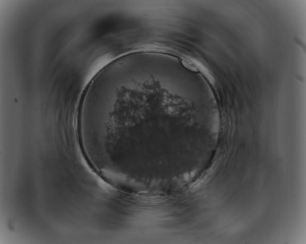 X0000093371007200710111433