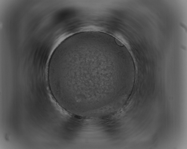 X0000093371008200710111433