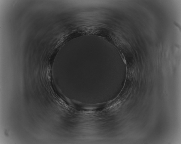X0000093371010200710111432