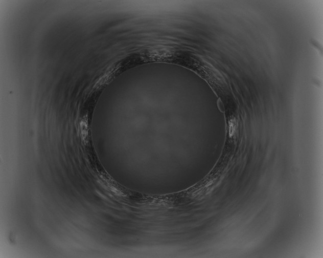 X0000093371011200710111432
