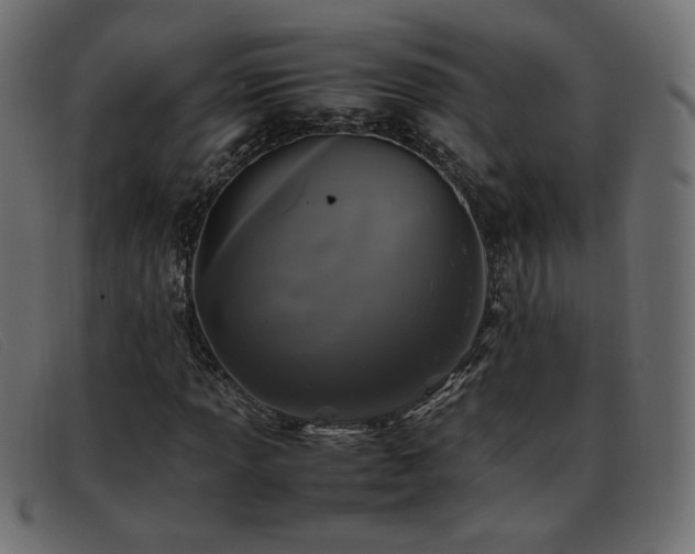 X0000093371013200710111432