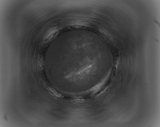 X0000093371014200710111432
