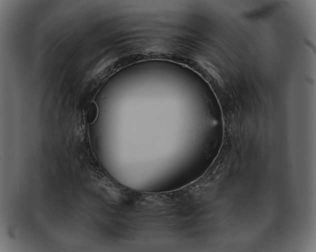 X0000093371015200710111432