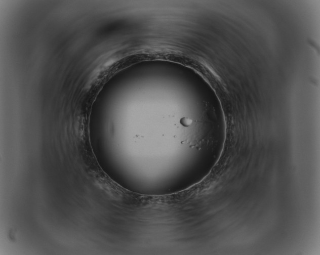 X0000093371016200710111432