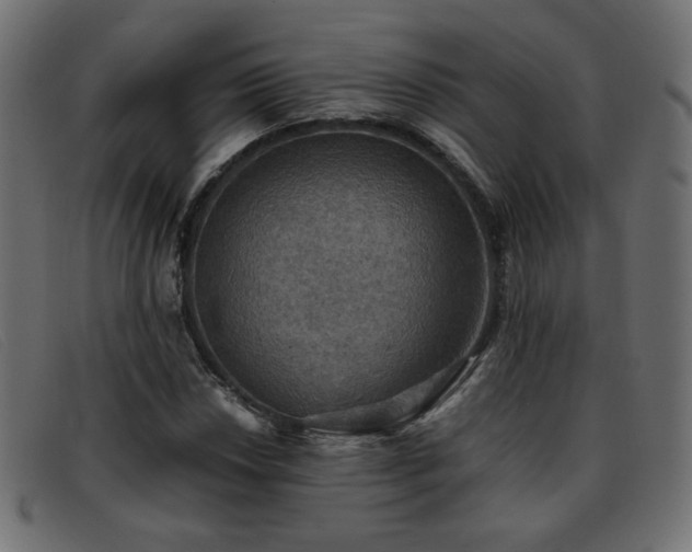 X0000093371018200710111432