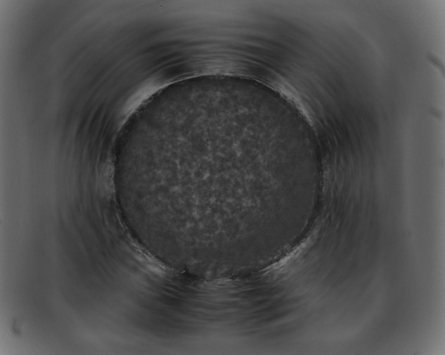 X0000093371019200710111432